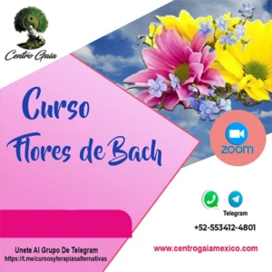 Mapa de bits en curso flores de bach marzo 2022.cdr copia